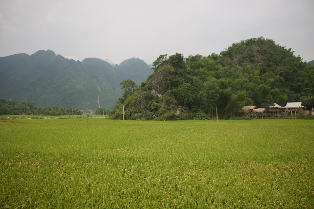 Little Mai Chau Home Stay Exterior foto